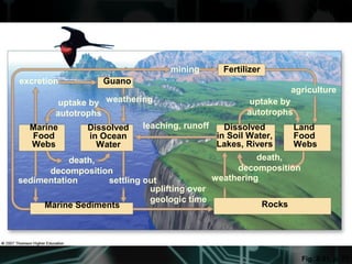 Fig. 3-31, p. 77
Dissolved
in Ocean
Water
Marine Sediments Rocks
uplifting over
geologic time
settling out weatheringsedimentation
Land
Food
Webs
Dissolved
in Soil Water,
Lakes, Rivers
death,
decomposition
uptake by
autotrophs
agriculture
leaching, runoff
uptake by
autotrophs
excretion
death,
decomposition
mining Fertilizer
weathering
Guano
Marine
Food
Webs
 
