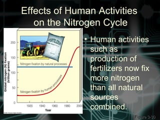 Effects of Human Activities
on the Nitrogen Cycle
• Human activities
such as
production of
fertilizers now fix
more nitrogen
than all natural
sources
combined.
Figure 3-30Figure 3-30
 