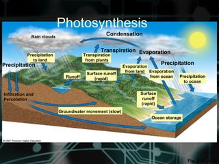 Fig. 3-26, p. 72
PrecipitationPrecipitation
Transpiration
Condensation
Evaporation
Ocean storage
Transpiration
from plants
Precipitation
to land
Groundwater movement (slow)
Evaporation
from land Evaporation
from ocean Precipitation
to ocean
Infiltration and
Percolation
Rain clouds
Runoff
Surface runoff
(rapid)
Surface
runoff
(rapid)
Photosynthesis
 