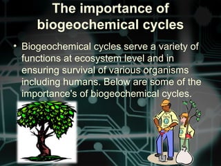 The importance of
biogeochemical cycles
• Biogeochemical cycles serve a variety of
functions at ecosystem level and in
ensuring survival of various organisms
including humans. Below are some of the
importance's of biogeochemical cycles.
 