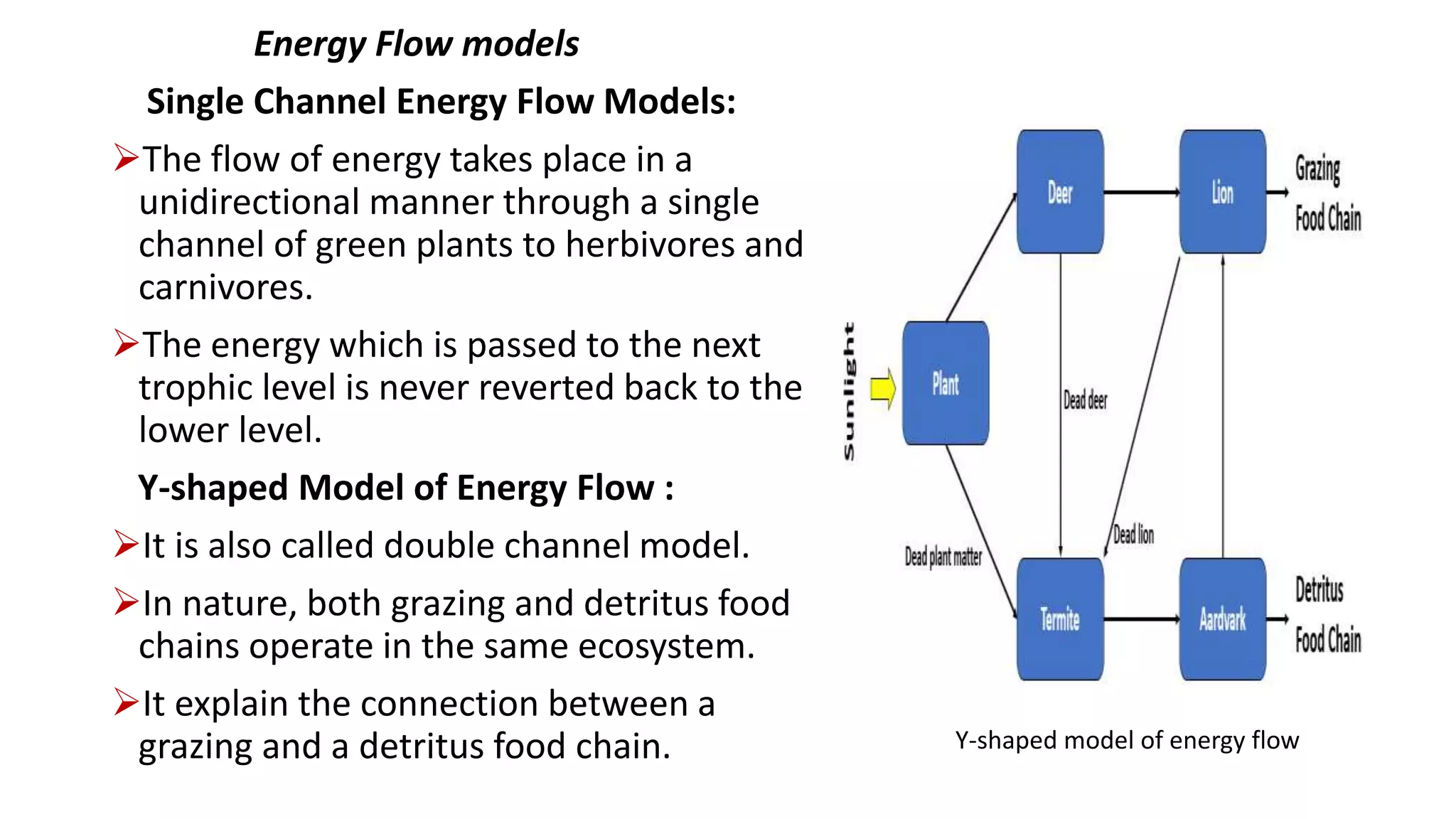 Energy Flow models
Single Channel Energy Flow Models:
The flow of energy takes place in a
unidirectional manner through a single
channel of green plants to herbivores and
carnivores.
The energy which is passed to the next
trophic level is never reverted back to the
lower level.
Y-shaped Model of Energy Flow :
It is also called double channel model.
In nature, both grazing and detritus food
chains operate in the same ecosystem.
It explain the connection between a
grazing and a detritus food chain. Y-shaped model of energy flow
 