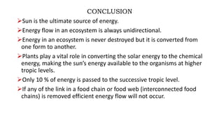 Ecology energy flow pathway in an ecosystem | PPTX
