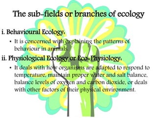 Ecology definition & scope | PPT
