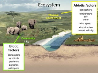 Ecology- ecosytems and organisms ES.pptx