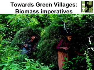 Towards Green Villages: Biomass imperatives 