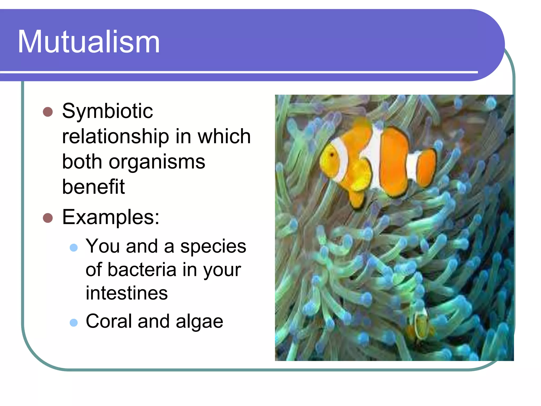 Mutualism
 Symbiotic
relationship in which
both organisms
benefit
 Examples:
 You and a species
of bacteria in your
intestines
 Coral and algae
 