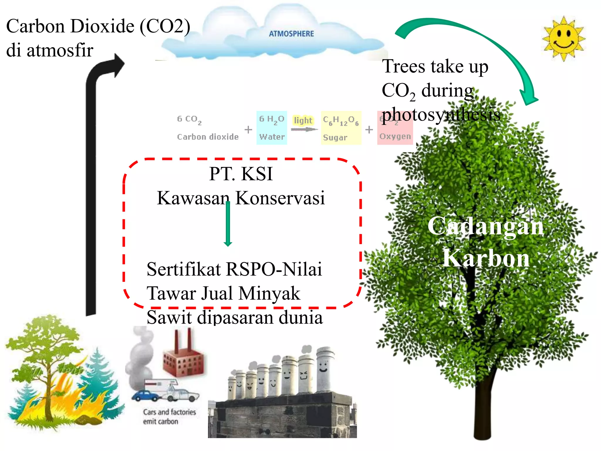 Carbon Dioxide (CO2)
di atmosfir
Cadangan
Karbon
Trees take up
CO2 during
photosynthesis
PT. KSI
Kawasan Konservasi
Sertifikat RSPO-Nilai
Tawar Jual Minyak
Sawit dipasaran dunia
 