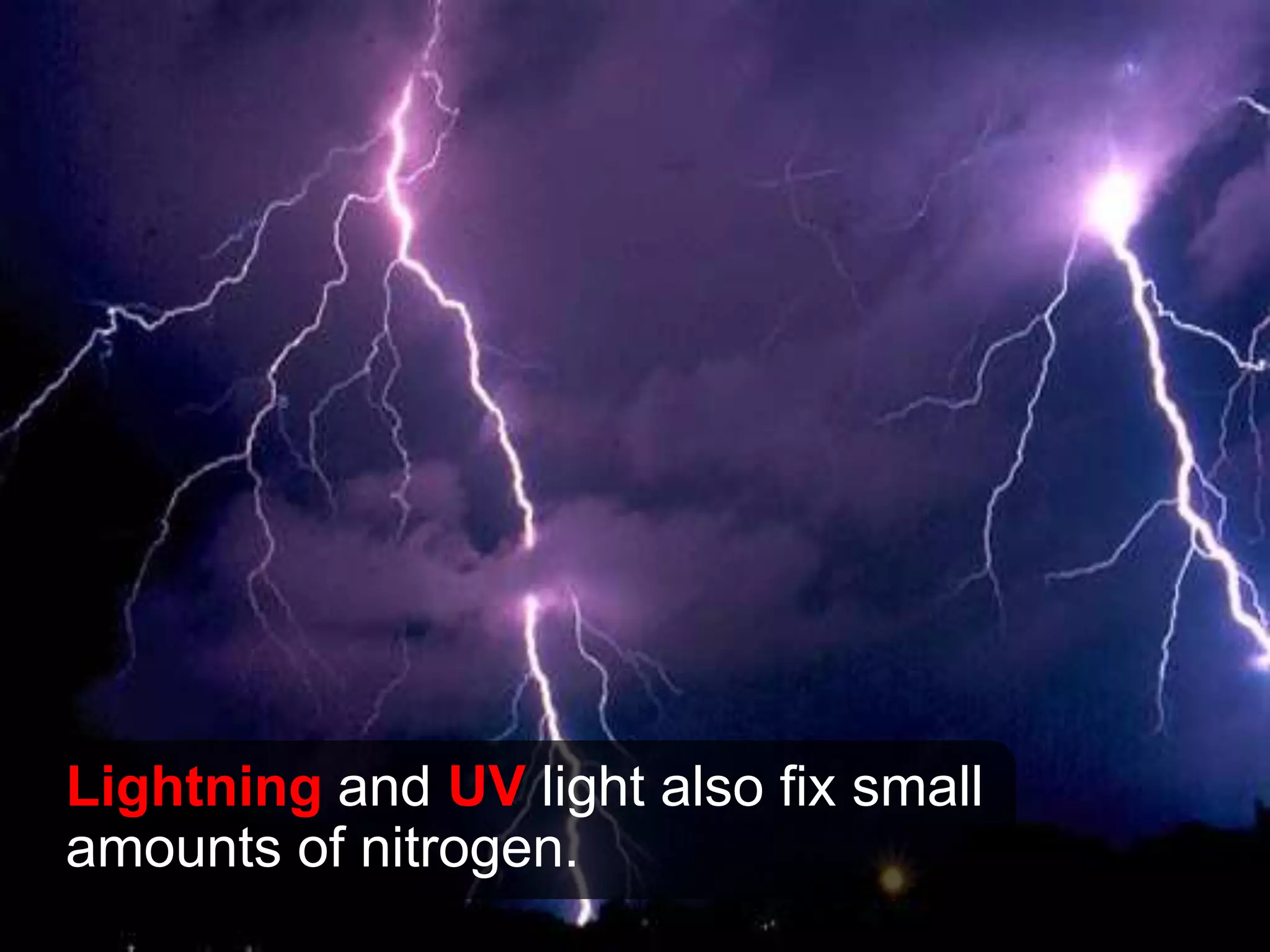 Lightning and UV light also fix small
amounts of nitrogen.
 