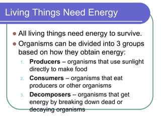 Living Things Need Energy
 All living things need energy to survive.
 Organisms can be divided into 3 groups
based on how they obtain energy:
1. Producers – organisms that use sunlight
directly to make food
2. Consumers – organisms that eat
producers or other organisms
3. Decomposers – organisms that get
energy by breaking down dead or
decaying organisms
 