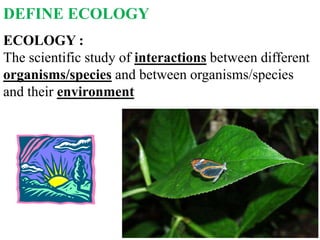 ECOLOGY :
The scientific study of interactions between different
organisms/species and between organisms/species
and their environment
DEFINE ECOLOGY
 