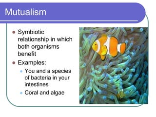 Mutualism
 Symbiotic
relationship in which
both organisms
benefit
 Examples:
 You and a species
of bacteria in your
intestines
 Coral and algae
 