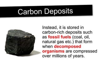 Instead, it is stored in
carbon-rich deposits such
as fossil fuels (coal, oil,
natural gas etc.) that form
when decomposed
organisms are compressed
over millions of years.
 