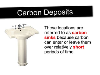 These locations are
referred to as carbon
sinks because carbon
can enter or leave them
over relatively short
periods of time.
 
