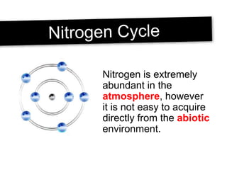 Nitrogen is extremely
abundant in the
atmosphere, however
it is not easy to acquire
directly from the abiotic
environment.
 