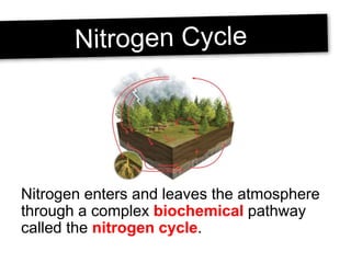 Nitrogen enters and leaves the atmosphere
through a complex biochemical pathway
called the nitrogen cycle.
 