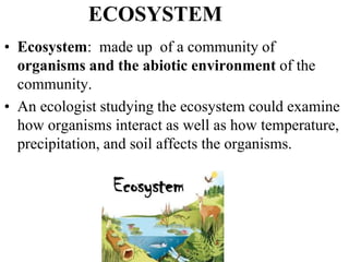 ECOSYSTEM
• Ecosystem: made up of a community of
organisms and the abiotic environment of the
community.
• An ecologist studying the ecosystem could examine
how organisms interact as well as how temperature,
precipitation, and soil affects the organisms.
 