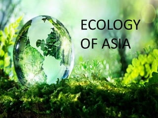 ECOLOGY
OF ASIA
 
