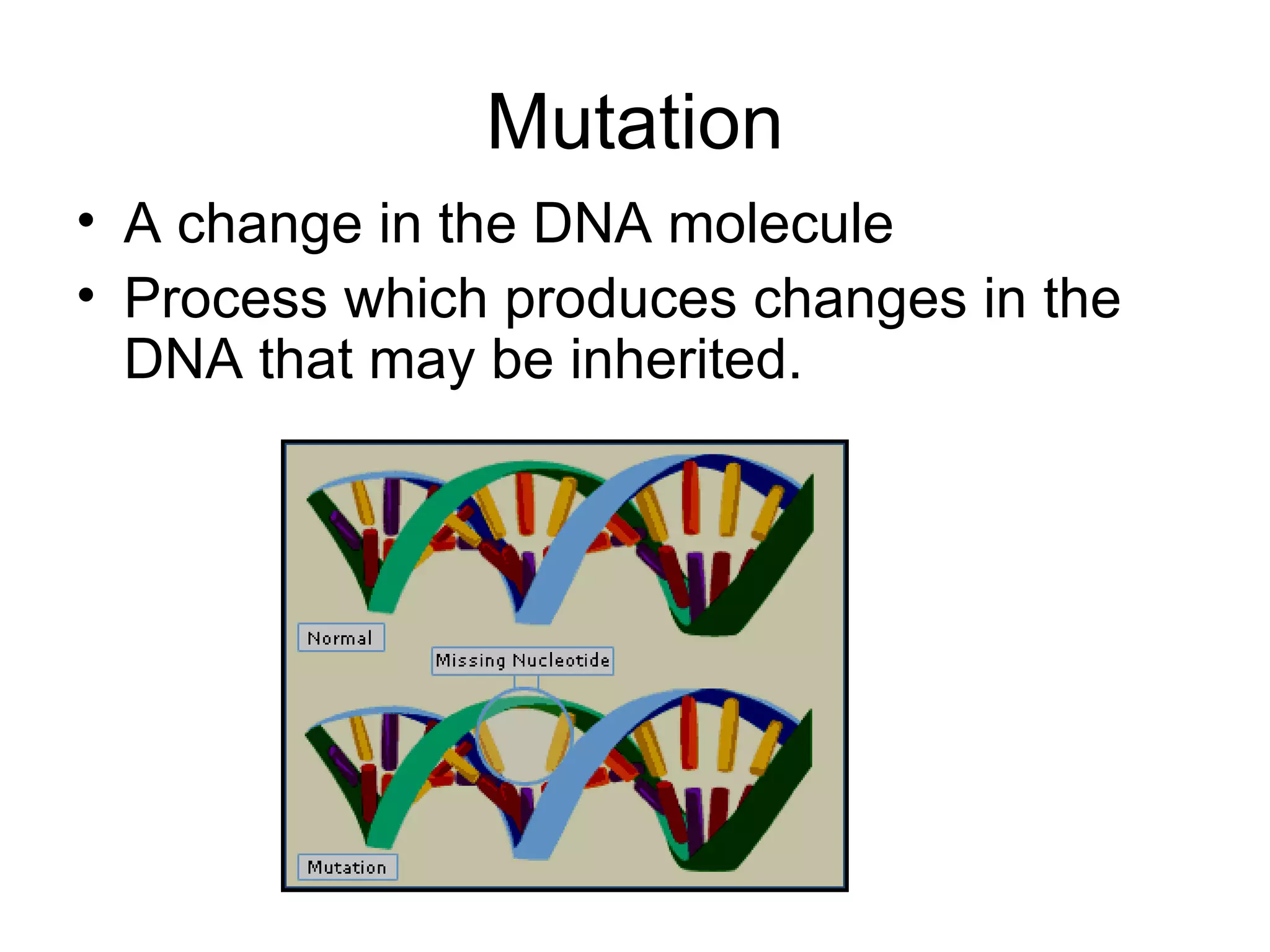 Mutation A change in the DNA molecule Process which produces changes in the DNA that may be inherited . 