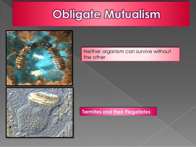 Mutualism And Neutralism