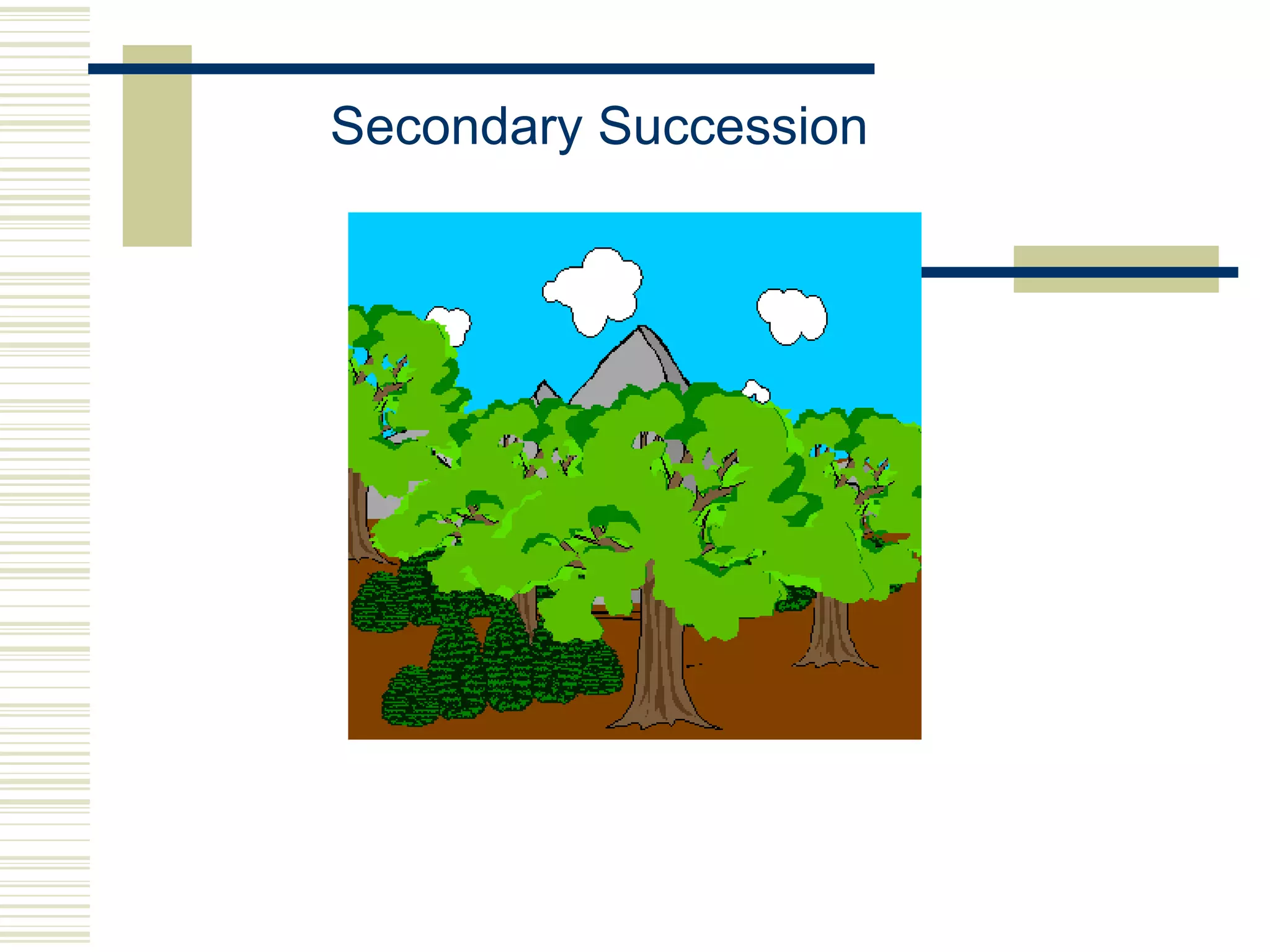 Secondary Succession
 
