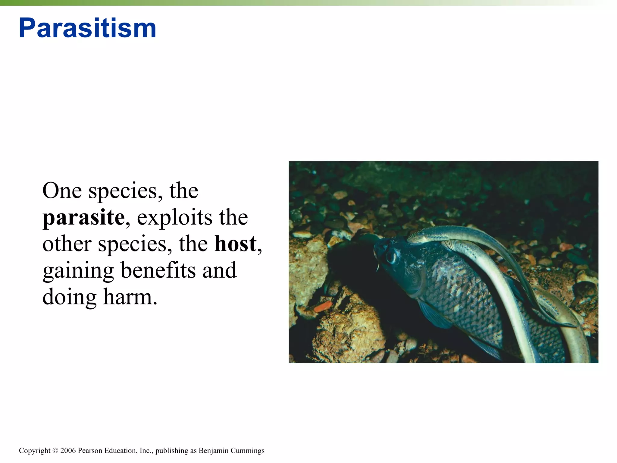 Parasitism One species, the  parasite , exploits the other species, the  host , gaining benefits and doing harm. 
