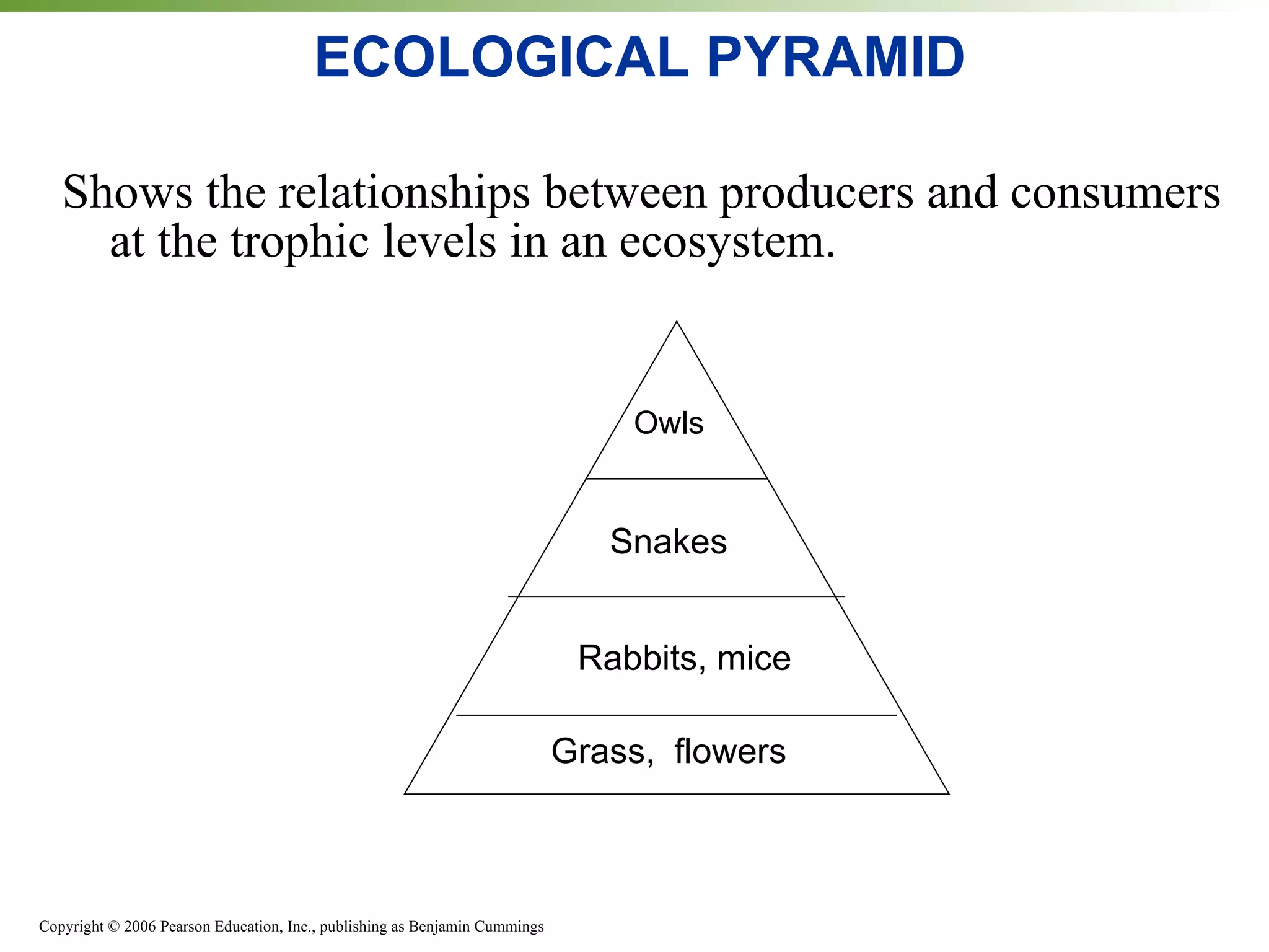 ECOLOGICAL PYRAMID Shows the relationships between producers and consumers at the trophic levels in an ecosystem. Grass,  flowers Rabbits, mice Snakes Owls 
