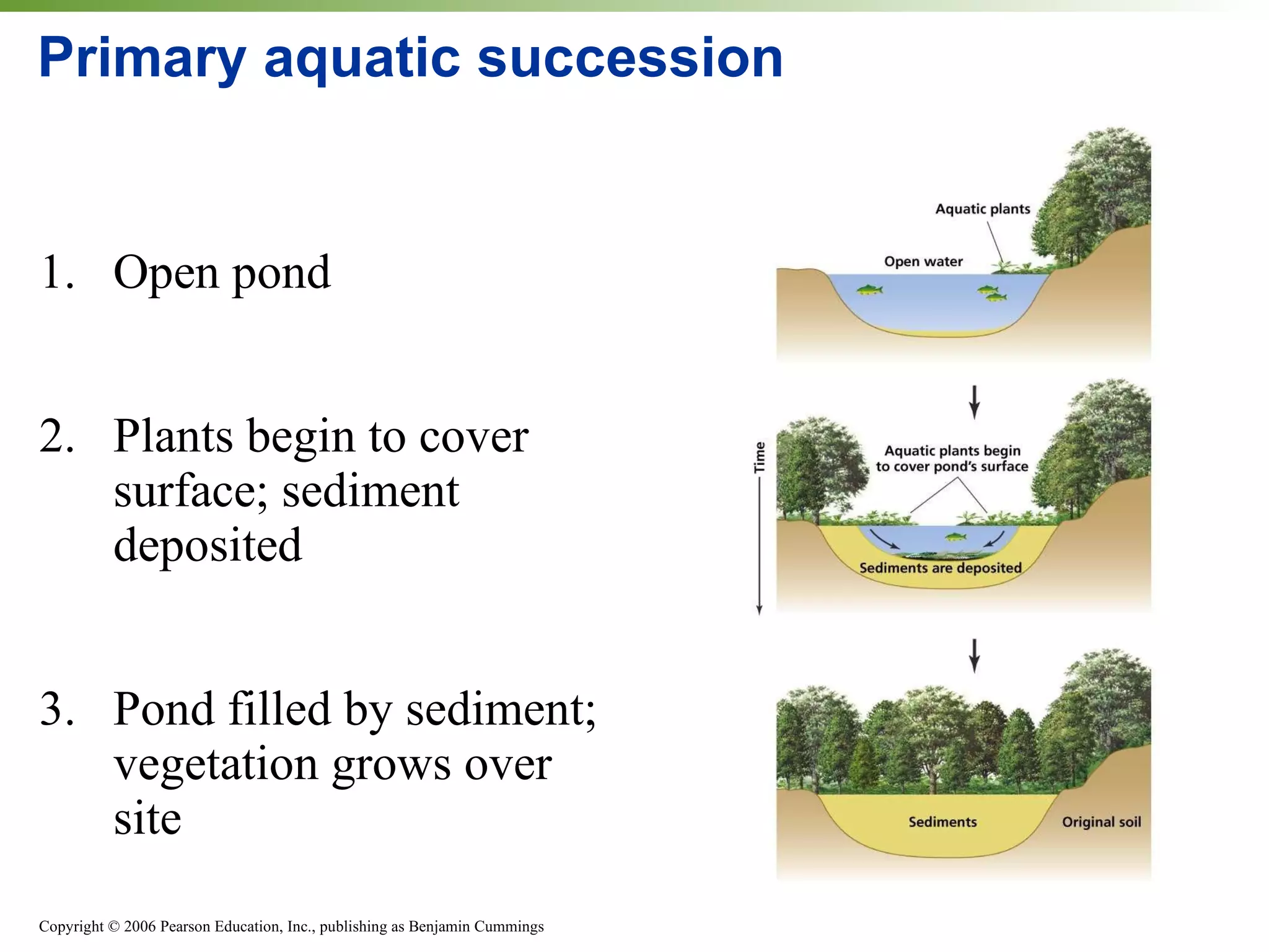1. Open pond 2. Plants begin to cover surface; sediment deposited 3. Pond filled by sediment; vegetation grows over site Primary aquatic succession 