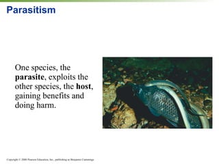 Parasitism One species, the  parasite , exploits the other species, the  host , gaining benefits and doing harm. 