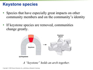 Keystone species Species that have especially great impacts on other community members and on the community’s identity If keystone species are removed, communities  change greatly. A “keystone” holds an arch together. 