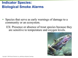 Indicator Species:  Biological Smoke Alarms Species that serve as early warnings of damage to a community or an ecosystem. EX: Presence or absence of trout species because they are sensitive to temperature and oxygen levels. 