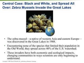 Central Case: Black and White, and Spread All Over: Zebra Mussels Invade the Great Lakes The zebra mussel—a native of western Asia and eastern Europe—was discovered in the Great Lakes in 1988. Encountering none of the species that limited their population in the Old World, they spread across 40% of the U.S. watershed. These invaders have both economic and ecological impacts, changing communities in ways scientists are only beginning to understand. 