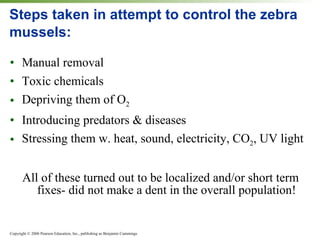 Steps taken in attempt to control the zebra mussels: Manual removal Toxic chemicals Depriving them of O 2 Introducing predators & diseases Stressing them w. heat, sound, electricity, CO 2 , UV light All of these turned out to be localized and/or short term fixes- did not make a dent in the overall population! 