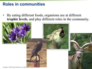 Roles in communities By eating different foods, organisms are at different  trophic levels , and play different roles in the community. 