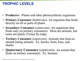 TROPHIC LEVELS Producers  - Plants and other photosynthetic organisms Primary Consumer  (herbivore)- An organism that feeds directly on all or parts of plants Secondary Consumer  (carnivore)- An organisms that feeds only on primary consumers.  Most are animals, but some are plants (Venus fly-trap). Tertiary Consumer  (carnivore)- Animals that feed on animal-eating animals.  Ex. hawks, lions, bass, and sharks. Quaternary Consumer  (carnivore)-  An animal that feeds on tertiary consumers.  Ex. humans 