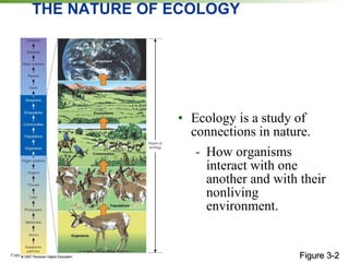 THE NATURE OF ECOLOGY Ecology is a study of connections in nature. How organisms interact with one another and with their nonliving environment. Figure 3-2 