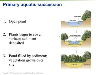 1. Open pond 2. Plants begin to cover surface; sediment deposited 3. Pond filled by sediment; vegetation grows over site Primary aquatic succession 