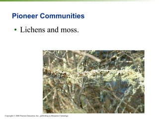 Pioneer Communities Lichens and moss. 