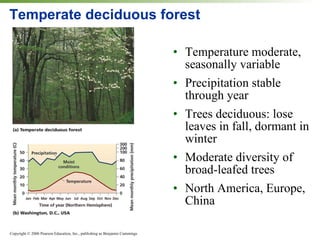 Temperate deciduous forest Temperature moderate, seasonally variable Precipitation stable through year  Trees deciduous: lose leaves in fall, dormant in winter Moderate diversity of broad-leafed trees North America, Europe, China 