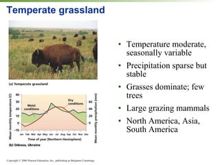 Temperate grassland Temperature moderate, seasonally variable Precipitation sparse but stable Grasses dominate; few trees Large grazing mammals North America, Asia, South America 