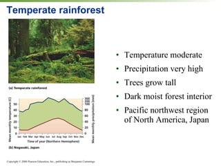 Temperate rainforest Temperature moderate Precipitation very high Trees grow tall Dark moist forest interior Pacific northwest region of North America, Japan 