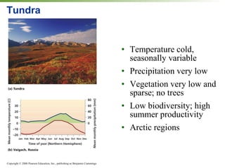 Tundra Temperature cold, seasonally variable Precipitation very low  Vegetation very low and sparse; no trees Low biodiversity; high summer productivity Arctic regions 