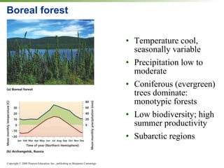 Boreal forest Temperature cool, seasonally variable Precipitation low to moderate  Coniferous (evergreen) trees dominate: monotypic forests Low biodiversity; high summer productivity Subarctic regions 