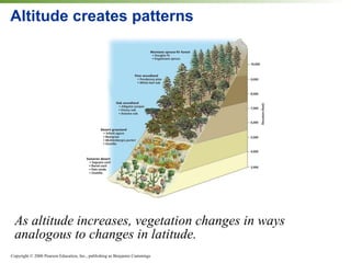 Altitude creates patterns As altitude increases, vegetation changes in ways analogous to changes in latitude. 
