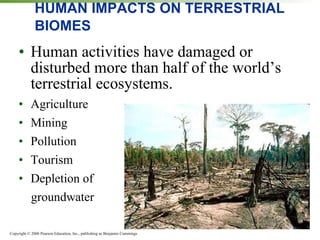 HUMAN IMPACTS ON TERRESTRIAL BIOMES Human activities have damaged or disturbed more than half of the world’s terrestrial ecosystems. Agriculture Mining Pollution Tourism Depletion of groundwater 