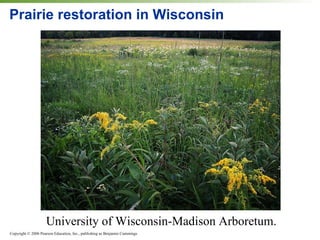 Prairie restoration in Wisconsin University of Wisconsin-Madison Arboretum.  