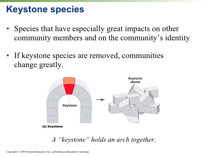 Ecology1