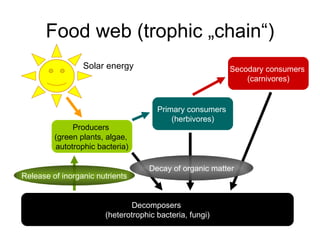 Food web (trophic „chain“) Producers  (green plants, algae,  autotrophic bacteria) Primary consumers  (herbivores) Secodary consumers  (carnivores) Decomposers  (heterotrophic bacteria, fungi) Decay of organic matter Release of inorganic nutrients Solar energy 