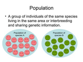 Population A group of individuals of the same species living in the same area or interbreeding and sharing genetic information. Population of species A Population of species  B 