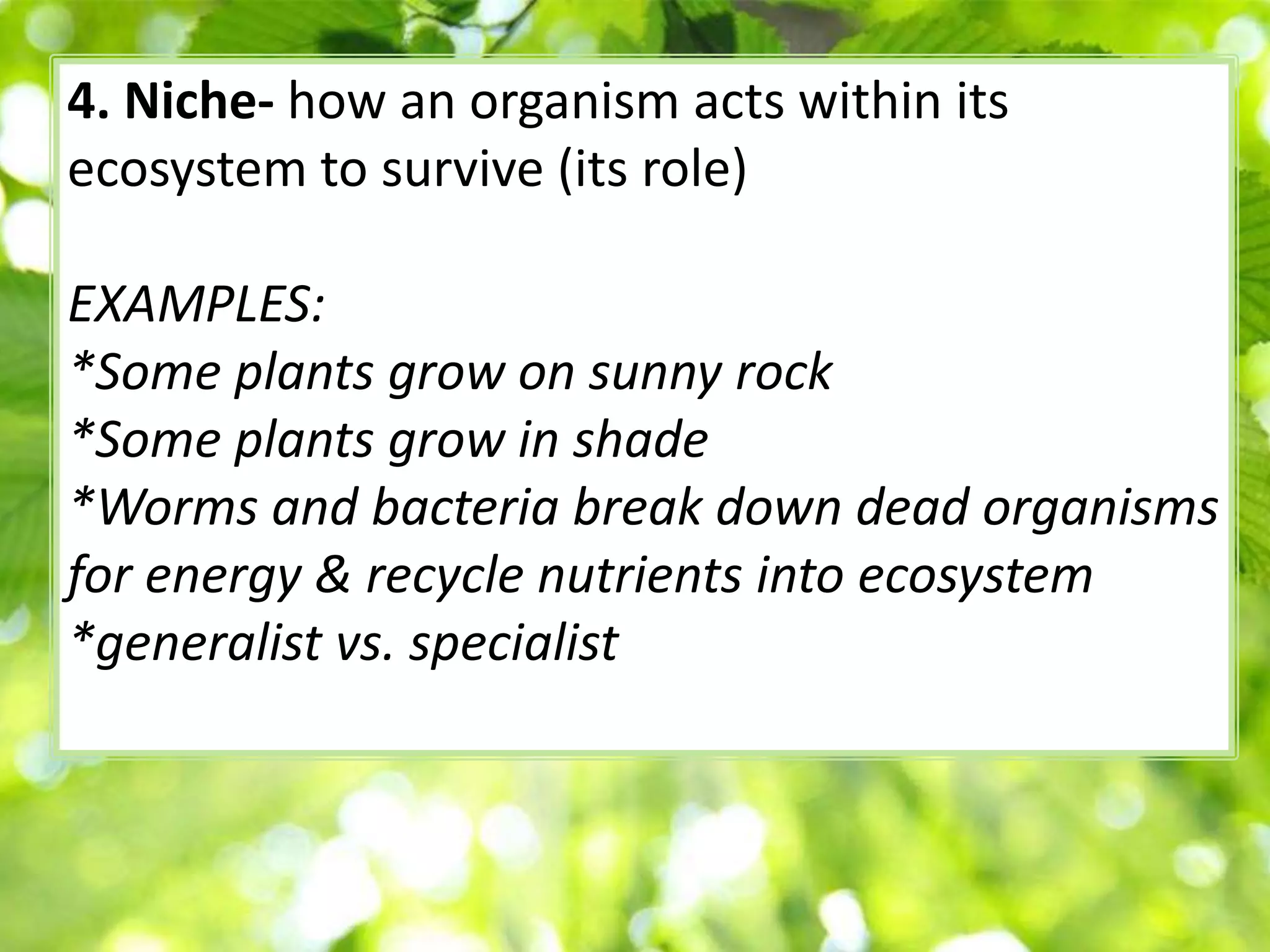 Ecology 1 notes | PPTX