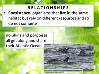 Ecology 1 notes | PPTX